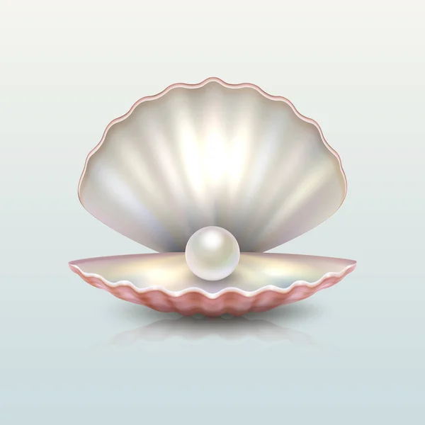Realistisk vektor vackra naturliga öppna havet pearl shell närbild med reflektion. Formgivningsmall, clipart, ikonen eller mockup i Eps10. — Stock vektor