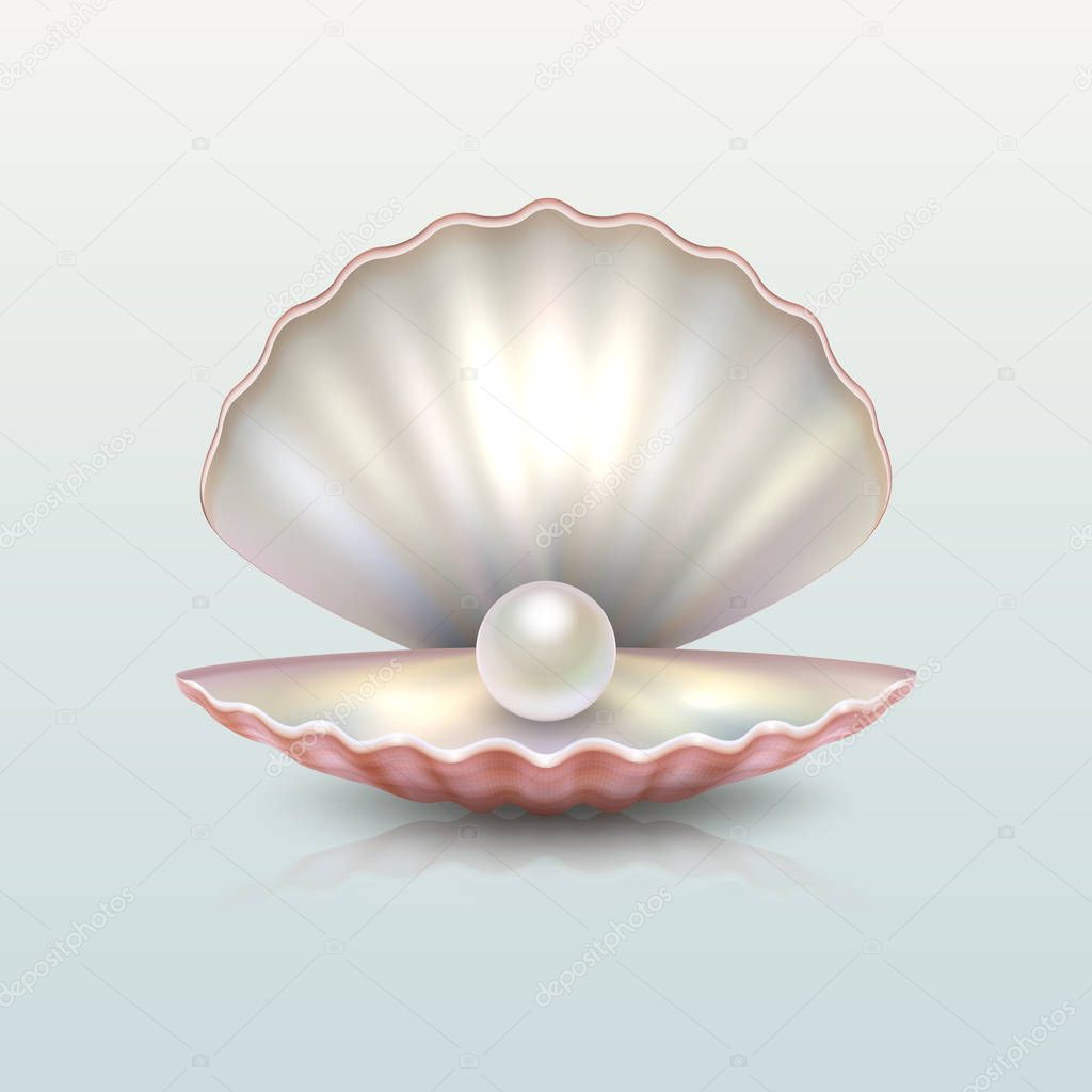 Realistic vector beautiful natural open sea pearl shell closeup with reflection. Design template, clipart, icon or mockup in EPS10.