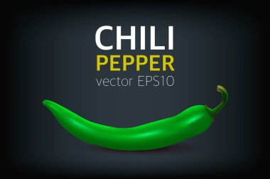 Vektör gerçekçi yeşil sıcak doğal chili biber. Tasarım şablonu veya clipart mutfak arka plan - ürünler, baharat paket, yemek tarifleri, web, app süslemeleri, yemek kitapları, vb için.