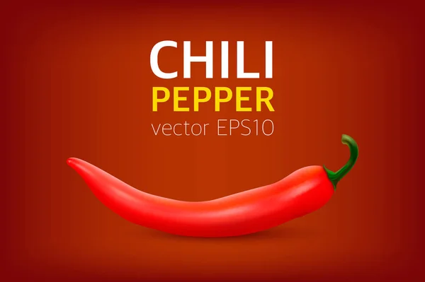 Vector realistic red hot natural chili pepper. Design template or clipart for culinary backgrounds - products, spice package, recipes, web, app decorations, cooking books, etc.