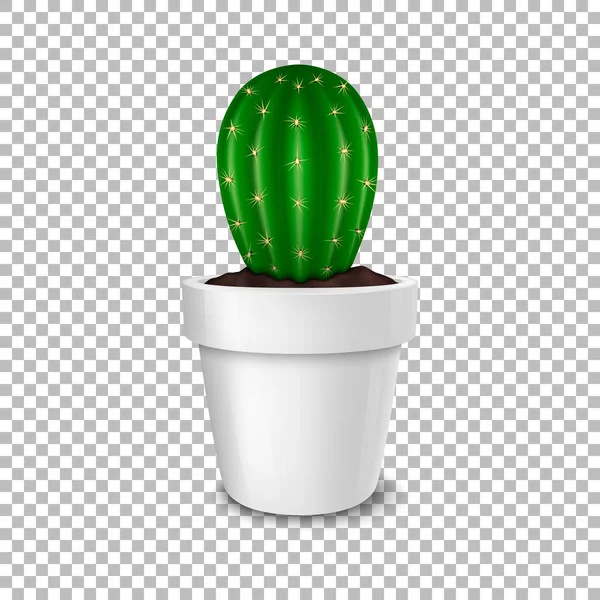 Realistische decoratieve cactus plant in witte bloem pot pictogram close-up geïsoleerd op transparante achtergrond. Ontwerpsjabloon, mockup. Voorraad vector. Eps10. — Stockvector