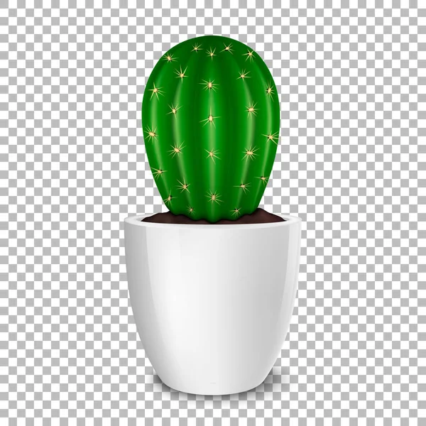 Realistische decoratieve cactus plant in witte bloem pot pictogram close-up geïsoleerd op transparante achtergrond. Ontwerpsjabloon, mockup. Voorraad vector. Eps10. — Stockvector