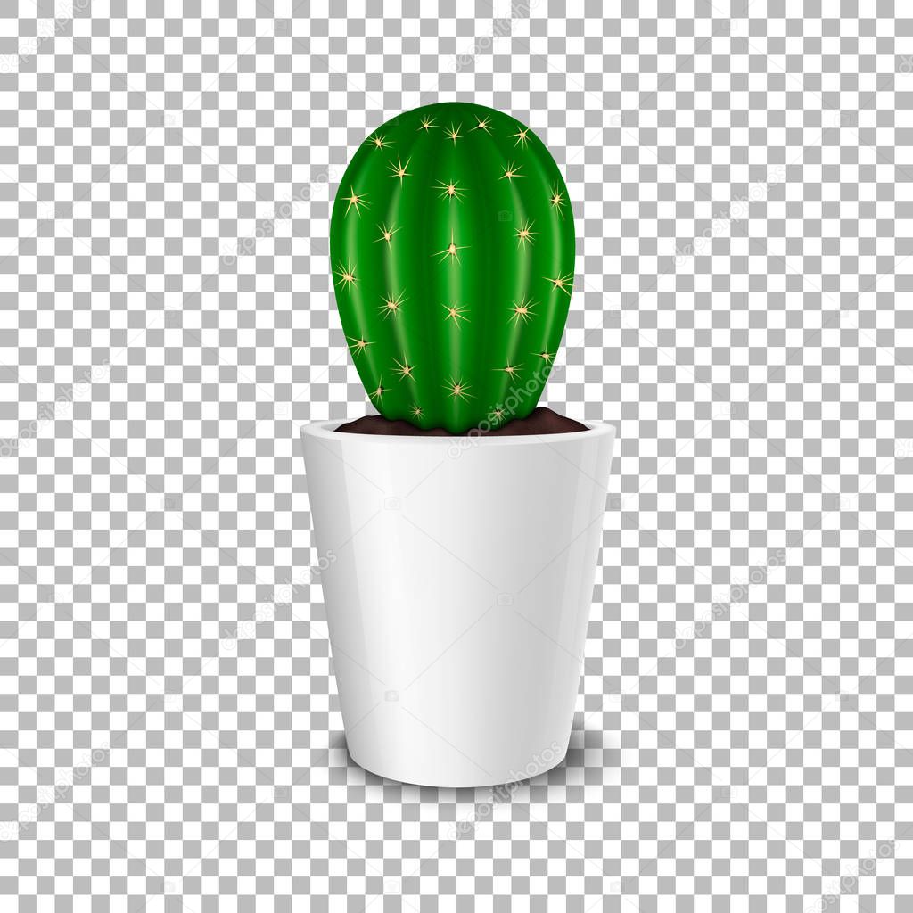 Download Realistic Decorative Cactus Plant In White Flower Pot Icon Closeup Isolated On Transparent Background Design Template Mockup Stock Vector Eps10 Illustration Premium Vector In Adobe Illustrator Ai Ai Format PSD Mockup Templates