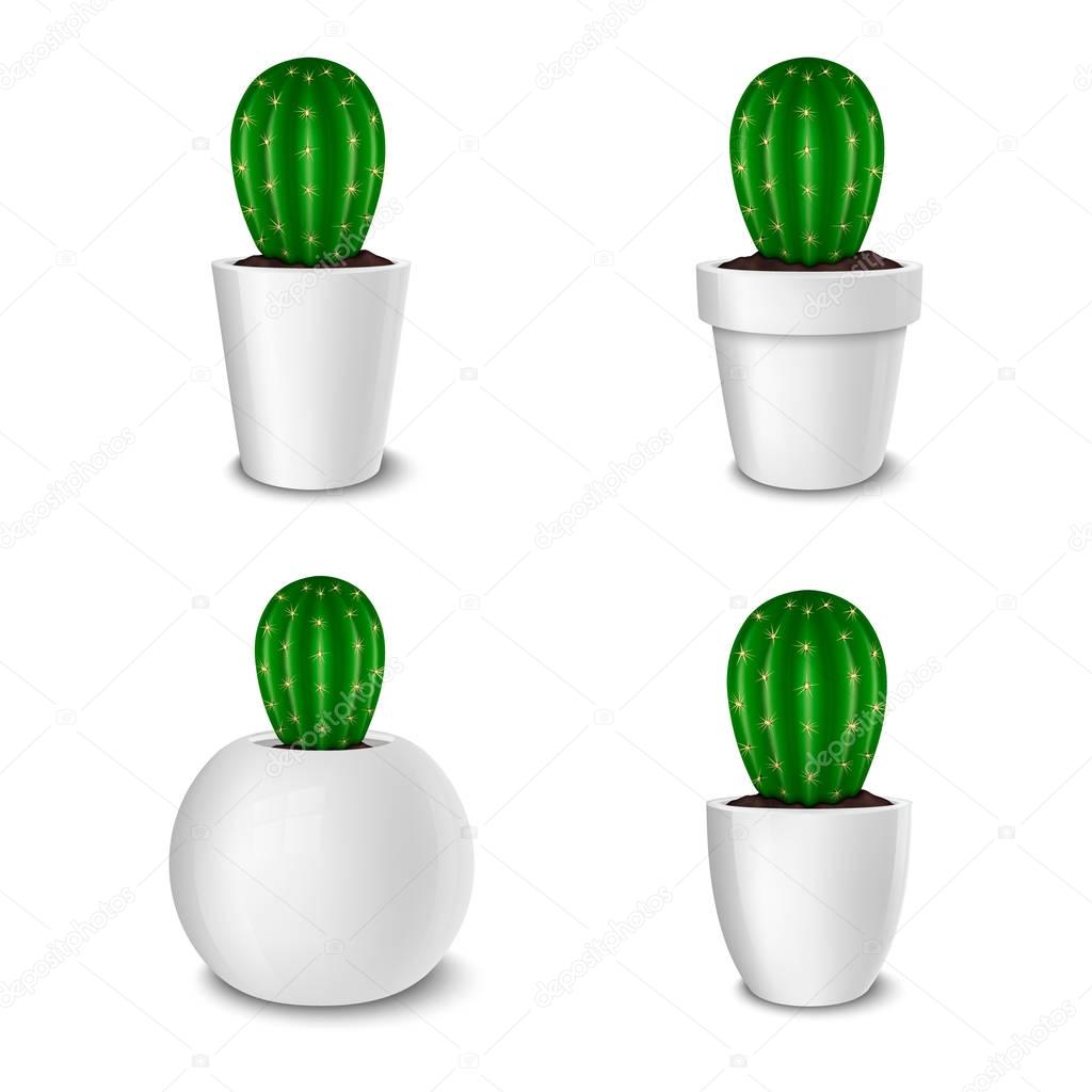 Download Realistic Decorative Cactus Plant In White Flower Pot Icon Closeup Isolated On White Background Design Template Mockup Stock Vector Eps10 Premium Vector In Adobe Illustrator Ai Ai Format Encapsulated PSD Mockup Templates