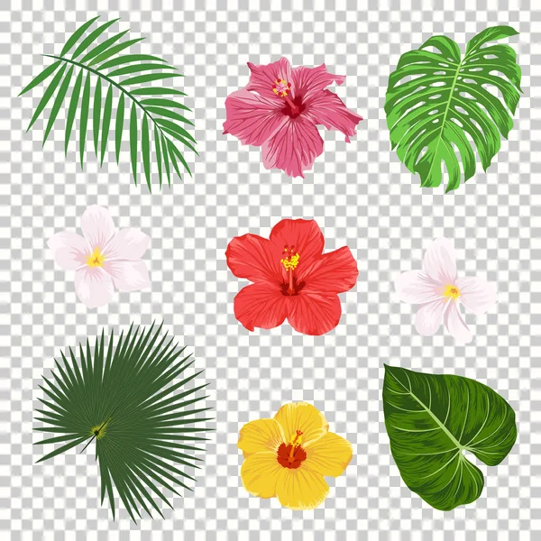 Conjunto de iconos de hojas y flores vectoriales tropicales aislados sobre fondo de rejilla transparente. Flores de palma, plátano, hibisco y plumeria. Plantillas de diseño de árbol de selva. Colección botánica y floral — Archivo Imágenes Vectoriales