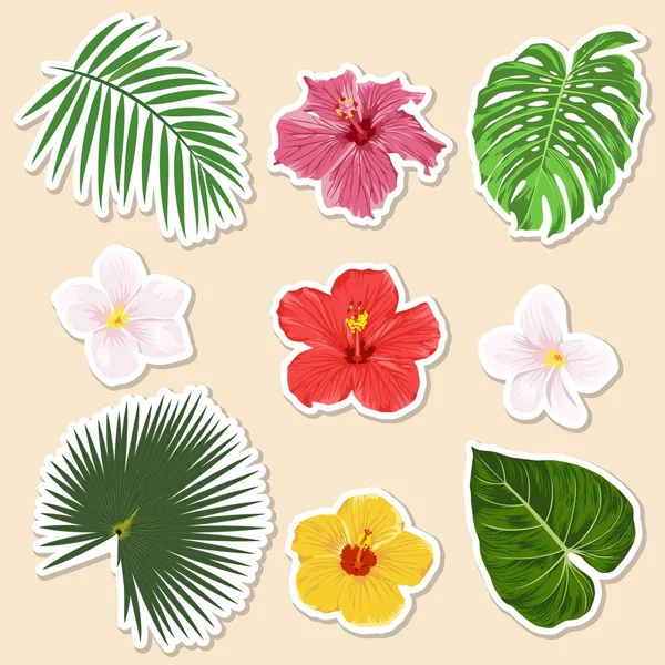 Vector de diferentes plantas tropicales flores y hojas pegatina de papel y conjunto de iconos. Elementos de diseño aislados de primer plano, colección exótica y de viajes — Archivo Imágenes Vectoriales