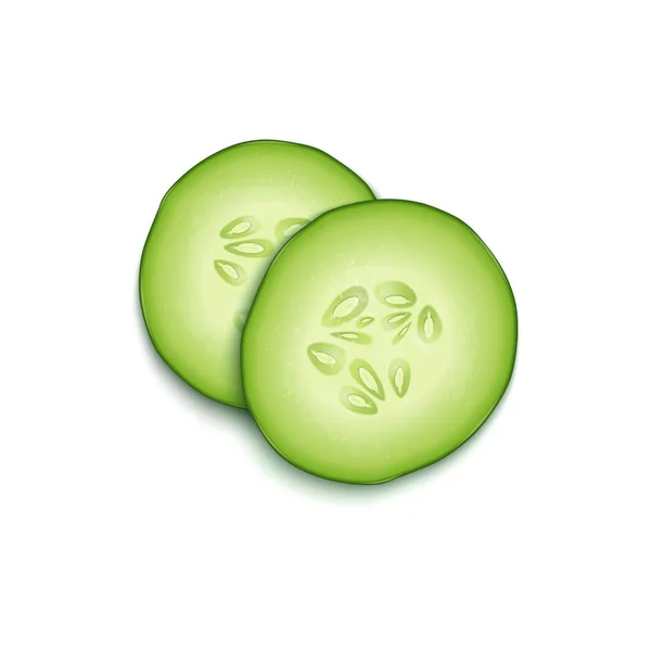 Two realistic vector 3d slice juicy cucumbers icon closeup isolated on white background, top view. Design template for graphics, food vector illustration — Stock Vector