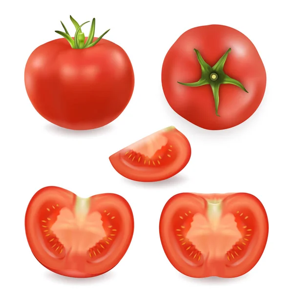 Vector 3d realista ícone de tomate diferente definido close-up isolado no fundo branco. Todo, quarto, metade de um tomate e vista superior. Modelo de design, clipart para gráficos —  Vetores de Stock