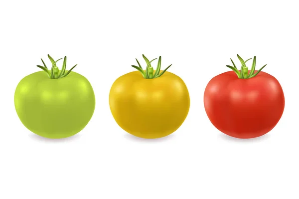 Vecteur 3d réaliste vert, jaune et rouge icône de tomate mis gros plan isolé sur fond blanc. Modèle de conception, clipart pour les graphiques — Image vectorielle