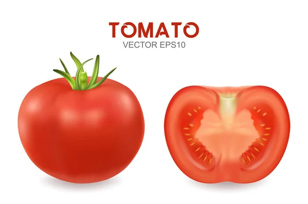 Vector 3d realista diferente tomate set closeup isolado no fundo branco. Todo e metade de um tomate. Modelo de design, clipart para gráficos —  Vetores de Stock