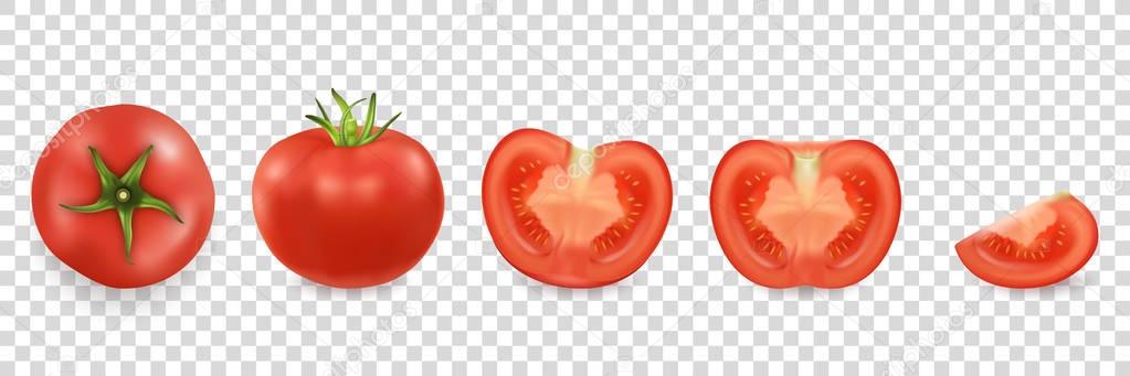 Vector 3d realistic different tomato icon set closeup isolated on transparency grid background. Whole, quarter, half of a tomato and top view. Design template, clipart for graphics