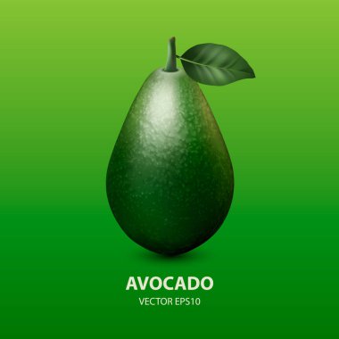 Vektör 3 d. Gerçekçi Avokado Yaprak Kapanışı Yeşil Arkaplan 'da izole edildi. Tasarım Şablonu, Gıda, Sağlık, Diyet Konsepti. Ön Görünüm