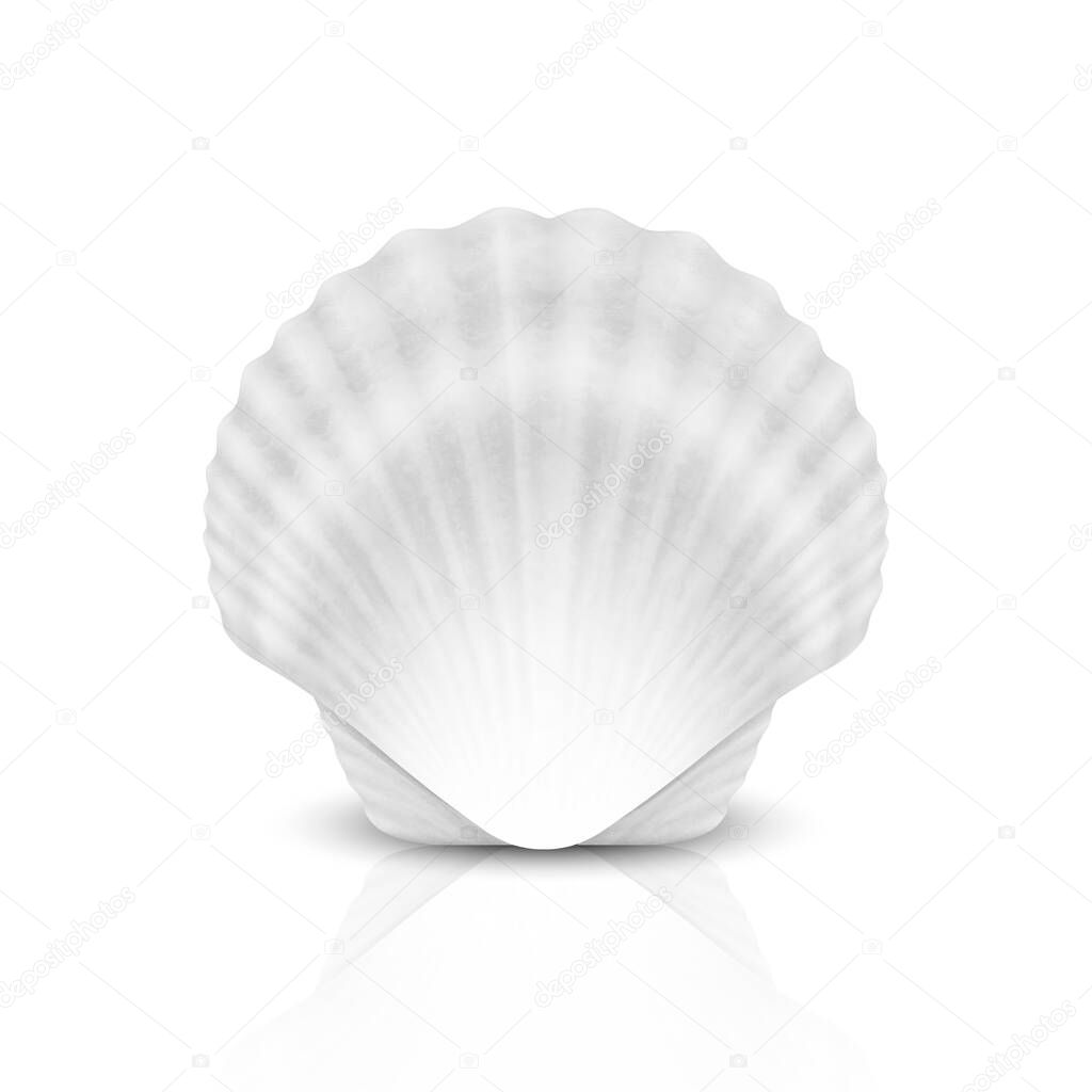 Vector 3d Realistic White Closed Scallop Pearl Seashell Icon Closeup Isolated on White Background. Design Template. Front View