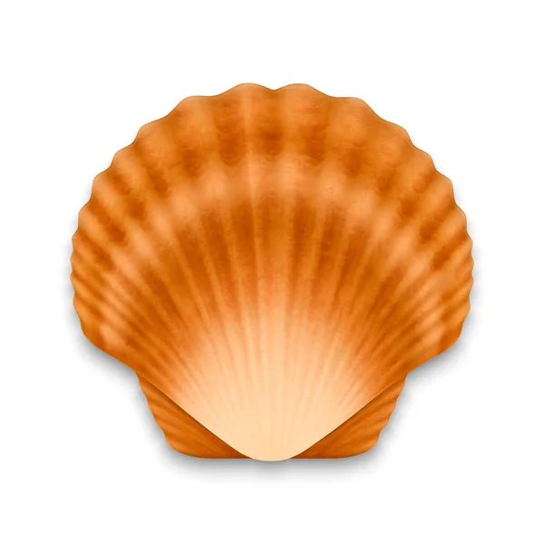 Vector 3d Realistic Brown Closed Scallop Pearl Seashell Icon Closeup Isolated on White Background. Design Template. Top View — Stock Vector