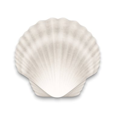 Vektör 3d Gerçekçi Beyaz Kapalı Neşter İnci Deniz Kabuğu Simgesi Beyaz Arkaplan 'da izole edildi. Tasarım Şablonu. Üst Görünüm