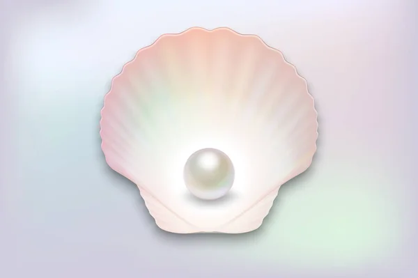 Vector 3d realista natural abierto media cáscara con perla de cerca sobre fondo de color perla. Vista superior — Vector de stock