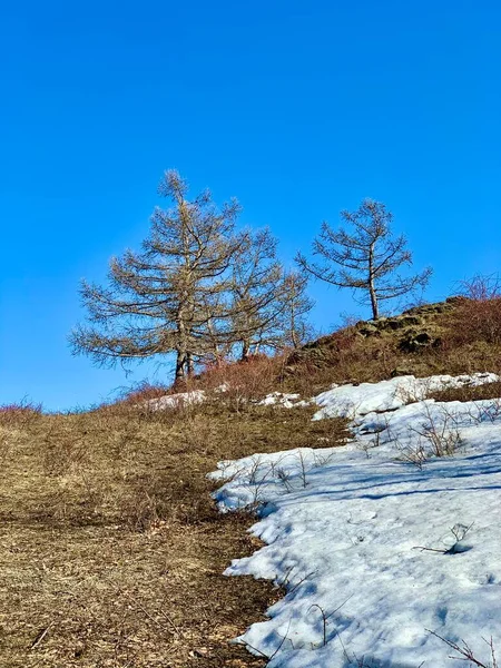 南ウラル山脈の自然 ウラル山脈への入り口 — ストック写真