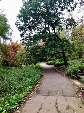 Richmond Park İngiltere, Londra 'da sonbahar sahnesi