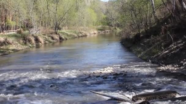 Fiume di montagna tempestoso e calmo tra le montagne degli Urali — Video Stock