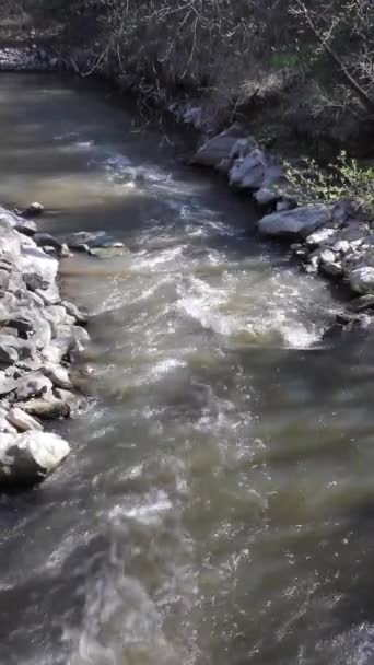 Rivière de montagne calme et orageuse au printemps parmi les montagnes de l'Oural — Video