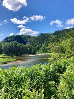 Güney Urallar 'daki Belaya Nehri kıyısındaki vahşi doğa parkı.