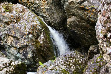 Bir dağ nehri şelalesi nehir yatağından büyük kayaların arasından yosunlarla akıyor.