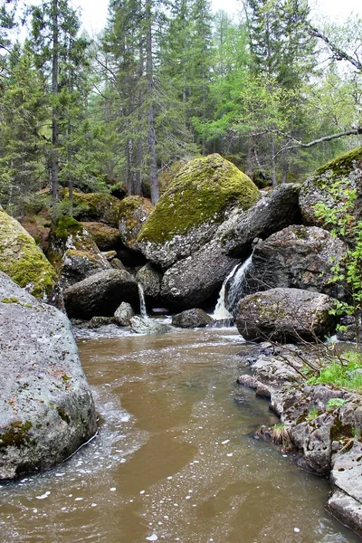 Uma cachoeira de rio de montanha flui através de um leito de rio através de enormes pedras com musgo — Fotografia de Stock
