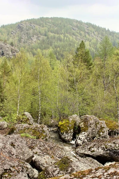 山の川の滝は苔で大きな岩を通って川のベッドを通って流れます — ストック写真