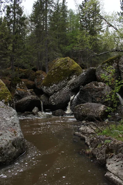 Una cascada de río de montaña fluye a través de un lecho de río a través de enormes rocas con musgo —  Fotos de Stock