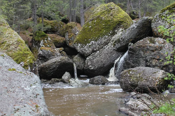 Ένας καταρράκτης βουνίσιου ποταμού ρέει μέσα από μια κοίτη ποταμού μέσα από τεράστιους βράχους με βρύα — Φωτογραφία Αρχείου