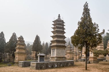 Çin 'in Henan eyaletinin Luoyang yakınlarındaki Şaolin Tapınağı' ndaki Pagoda Ormanı, UNESCO Dünya Mirası Alanı olarak yazılan Çin 'in en büyük pagoda ormanlarından biri.