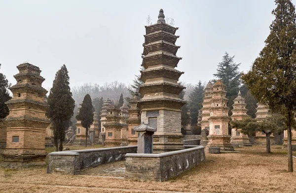 Çin 'in Henan eyaletinin Luoyang yakınlarındaki Şaolin Tapınağı' ndaki Pagoda Ormanı, UNESCO Dünya Mirası Alanı olarak yazılan Çin 'in en büyük pagoda ormanlarından biri.