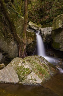 Şelale Şelaleleri Izumisano 'daki Inunaki, Osaka Bölgesi, Japonya