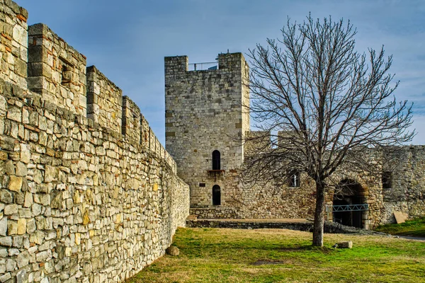 Historisch Fort Van Belgrado Park Kalemegdan Belgrado Hoofdstad Van Servië — Stockfoto