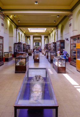 Kahire / Mısır - 25 Mayıs 2019: Mısır Antik Müzesi (Mısır Müzesi) Mısır 'ın başkenti Kahire' de dünyanın en büyük antik Mısır eserleri koleksiyonuna ev sahipliği yapmaktadır.