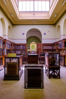 Kahire / Mısır - 25 Mayıs 2019: Mısır Antik Müzesi (Mısır Müzesi) Mısır 'ın başkenti Kahire' de dünyanın en büyük antik Mısır eserleri koleksiyonuna ev sahipliği yapmaktadır.