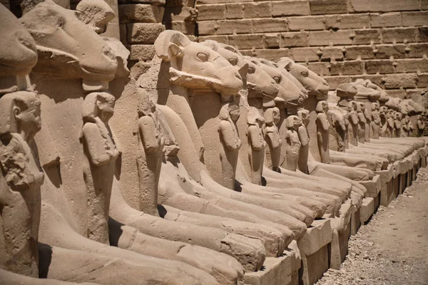 Estátuas Granito Amon Forma Carneiro Avenida Esfinges Entrada Complexo Templo — Fotografia de Stock