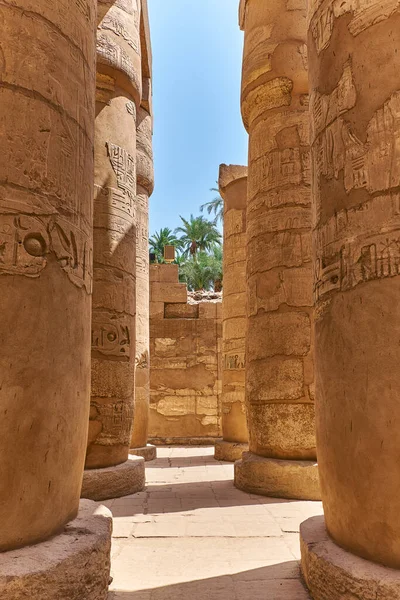 Masivos Pilares Del Gran Salón Hipóstilo Complejo Del Templo Karnak —  Fotos de Stock