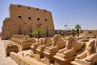 Mısır 'ın Luxor kentindeki Karnak Açık Hava Müzesi (MÖ 1250) ve Karnak Tapınağı kompleksinin girişinde Sfenks Bulvarı' nda koç şeklinde granit heykeller inşa edildi.