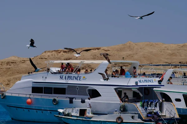 Hurghada Egito Maio 2019 Barcos Que Levam Turistas Para Snorkeling — Fotografia de Stock