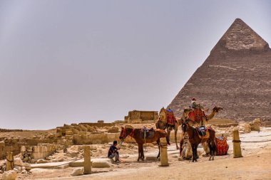 Giza Platosu, Kahire / Mısır - 25 Mayıs 2019: Khafre Piramidi 'nde at ve develerle rehberlik)