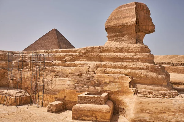 埃及开罗尼罗河西岸吉萨高原上的吉萨狮身人面像 — 图库照片