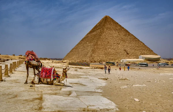 Giza Platosu, Kahire / Mısır - 25 Mayıs 2019: Kahire, Mısır 'daki Giza Platosu ve Giza piramit kompleksini ziyaret eden turistler