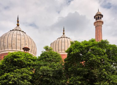 Mescidi Cihan Numa, Eski Delhi 'deki Jama Mescid Camii, Hindistan' ın en büyük camilerinden biri.