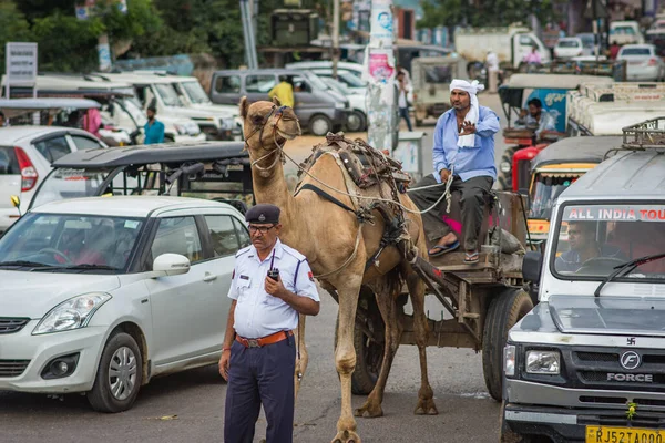 Jaipur Rajastán India Septiembre 2019 Oficial Policía Tránsito Dirigiendo Tráfico — Foto de Stock