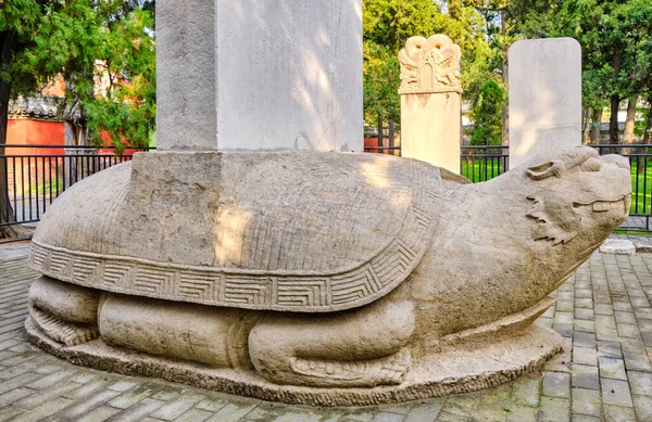 Bixi Stein Drachen Schildkröte Basis Der Stele Mit Gedenkinschriften Tempel — Stockfoto