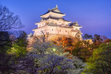 Japonya 'nın Wakayama şehrindeki kiraz çiçeği sakura mevsiminde güzel beyaz Wakayama kalesinin akşam manzarası
