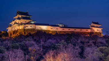 16. yüzyılda Japonya 'nın Wakayama şehrinde inşa edilen tarihi Wakayama kalesinin akşam manzarası