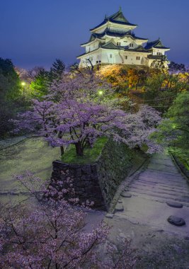 Japonya 'nın Wakayama şehrindeki kiraz çiçeği sakura mevsiminde güzel beyaz Wakayama kalesinin akşam manzarası