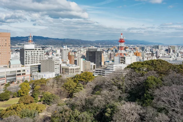 Wakayama Japan Januari 2018 Wakayama Stadsbild Från Wakayama Slott Japan — Stockfoto